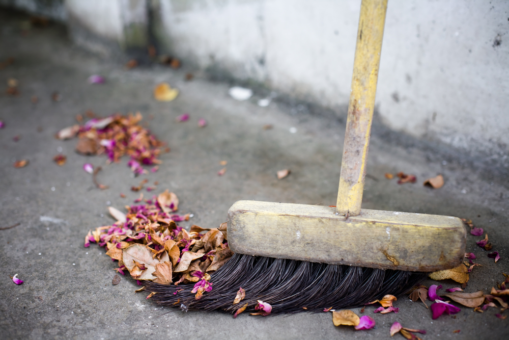 sweeping leaves and flowers