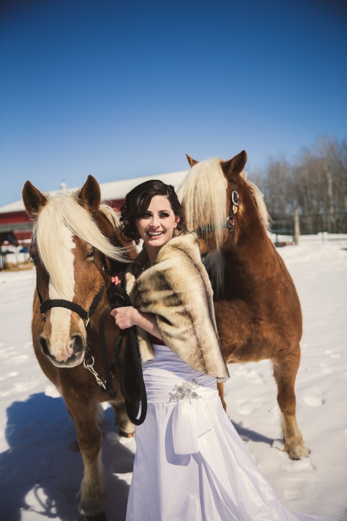 winter wedding horses