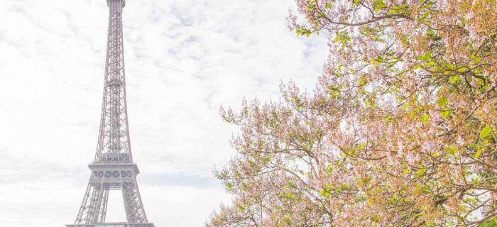 Couple getting married with Eiffel Tower in background